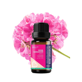 BAM & CO. ROSE GERANIUM CERTIFIED PURE ORGANIC ESSENTIAL OIL (5ML/10ML)